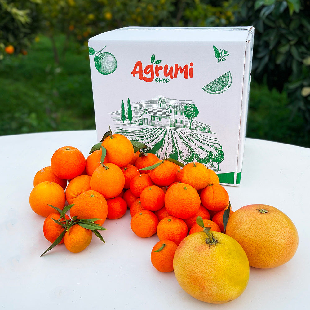 Box agrumi misti Arance, Clementine, Limoni e Pompelmi rosa